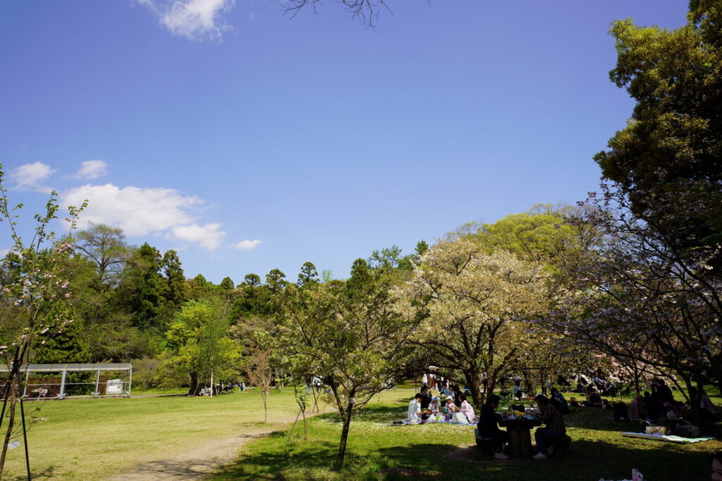 Kyoto Botanical Gardens Spring