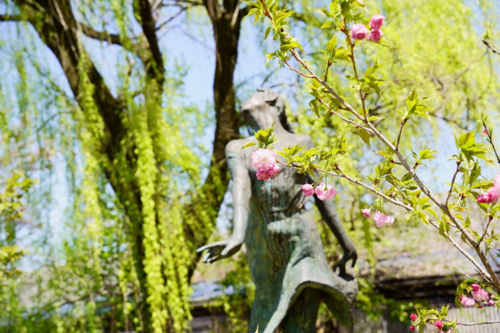 Kyoto Botanical Gardens Spring