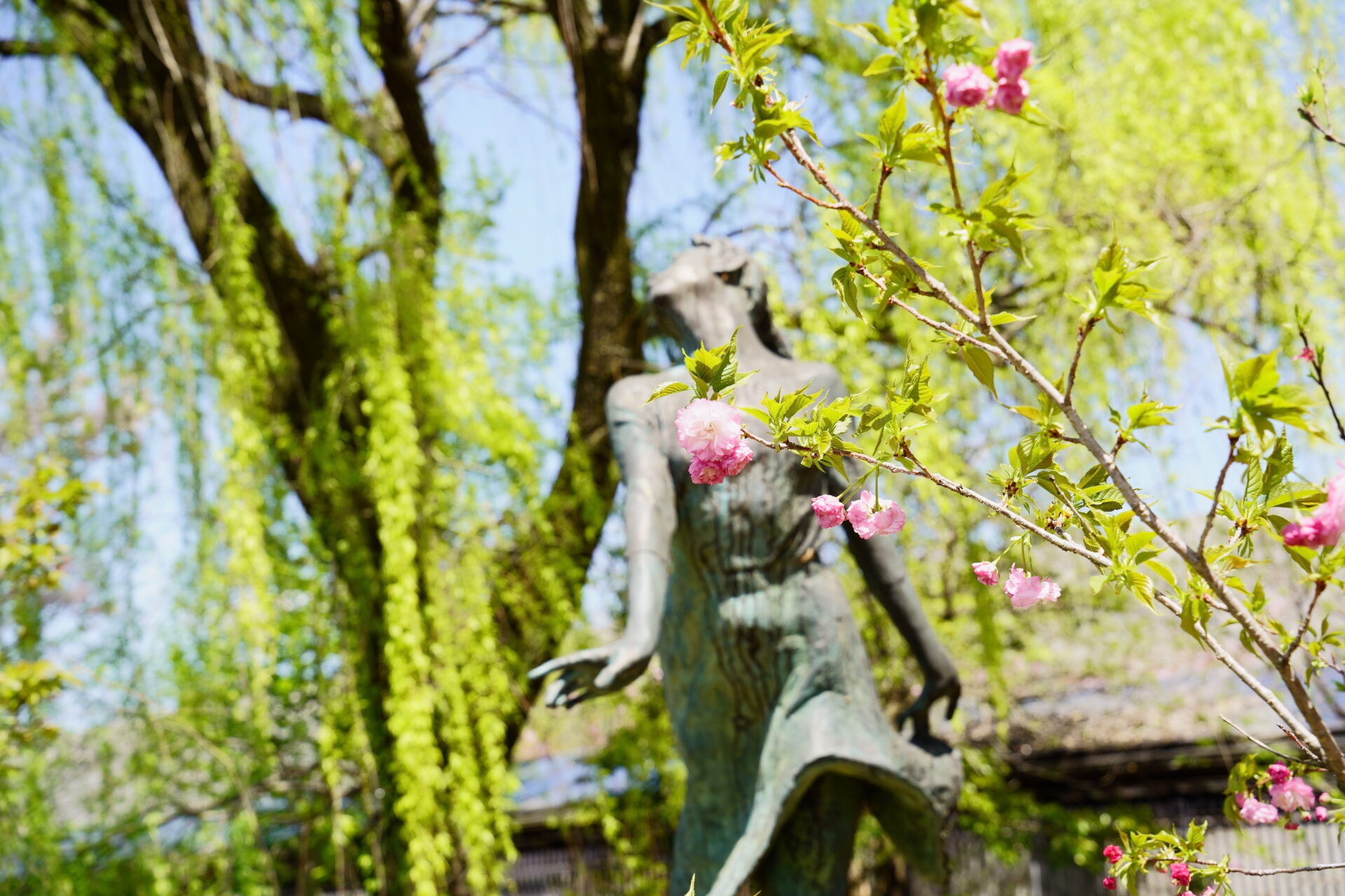 Kyoto Botanical Gardens Spring
